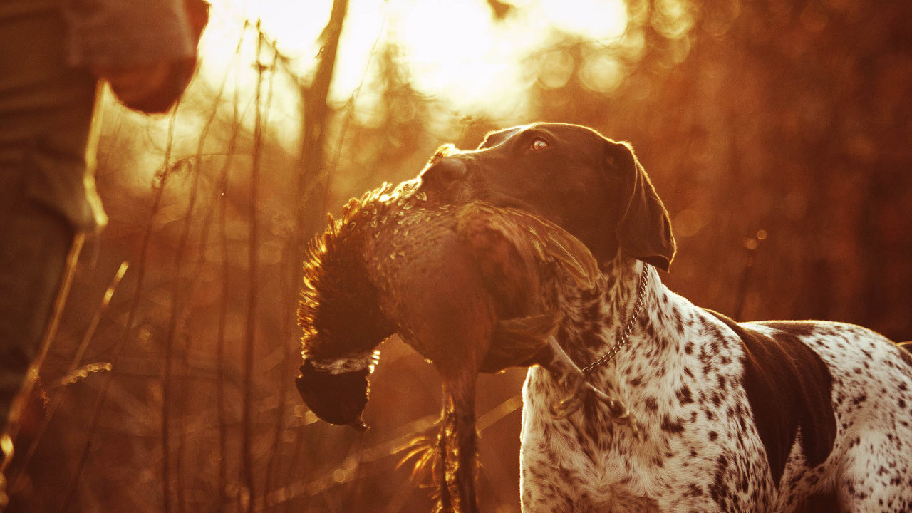 Lesopark Osmička bude v pondělí 24. června patřit (nejen) myslivcům