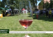 ROUDNICE N. L.: Roudnický košt letos se šestnácti vinaři, ocenění dostal nováček