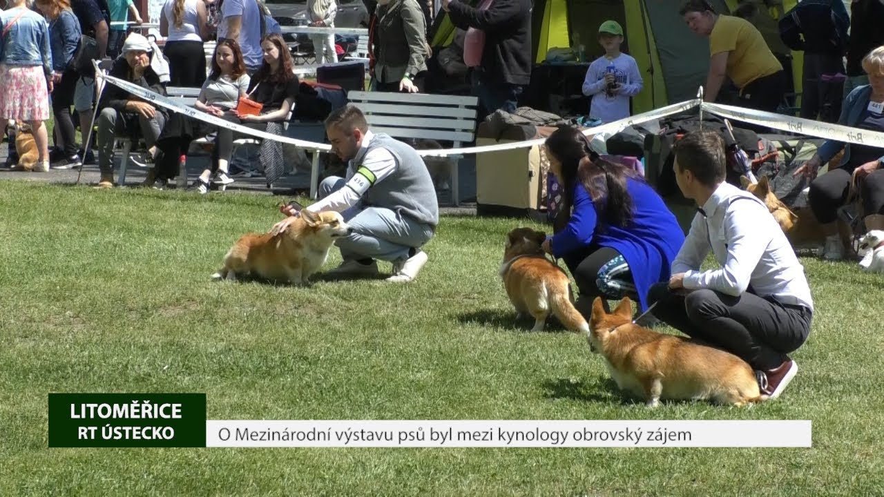 LITOMĚŘICE: O Mezinárodní výstavu psů na Zahradě Čech byl mezi kynology obrovský zájem