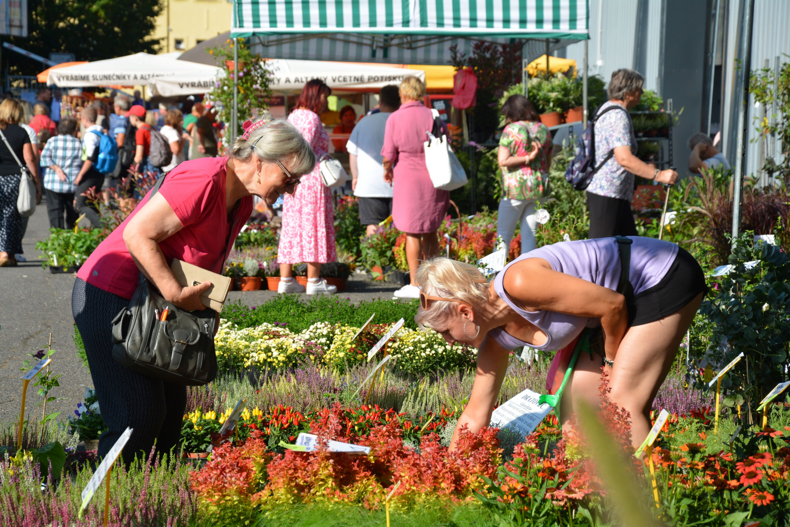 Začal zvýhodněný předprodej vstupenek na podzimní Zahradu Čech