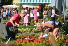 Podzimní Zahrada Čech se blíží, začne v pátek 13. září