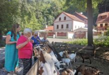 Klienti Domova na Dómském pahorku navštívili Oparenské údolí