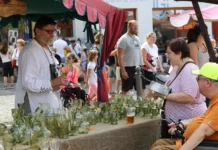 Kam o víkendu na Litoměřicku