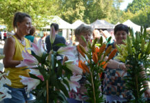 Přípravy na veletrh Zahrada Čech vrcholí