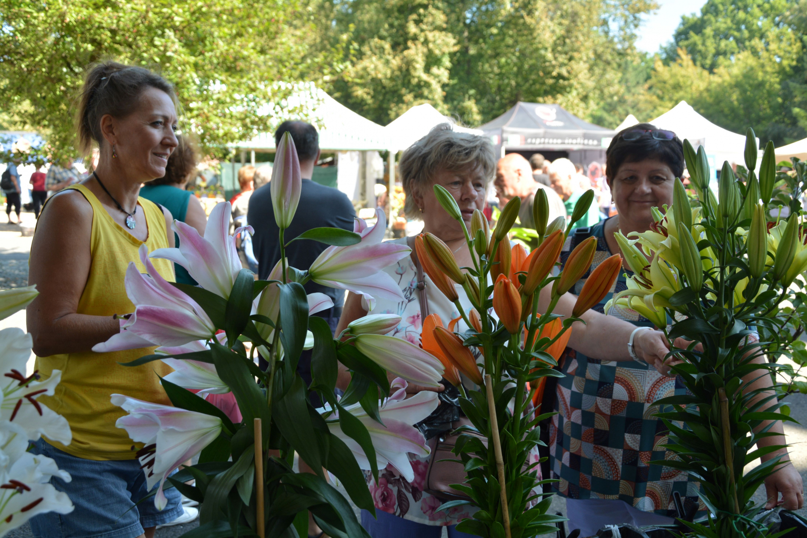 Přípravy na veletrh Zahrada Čech vrcholí