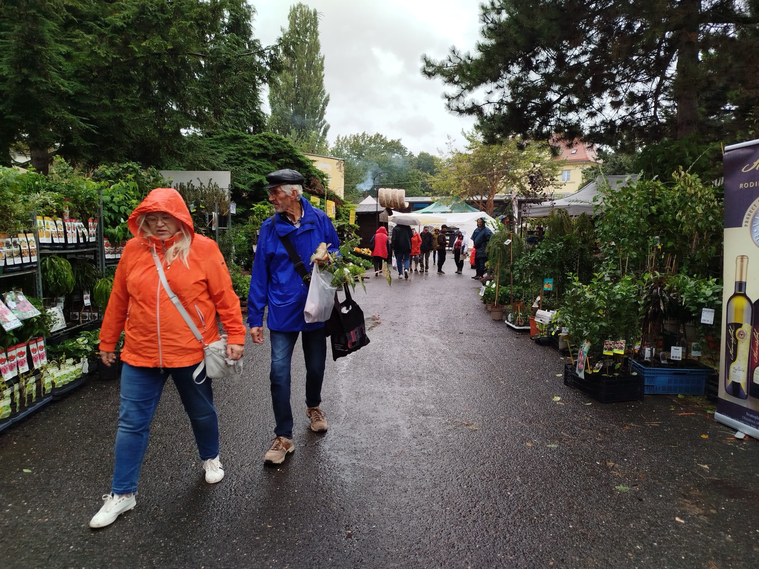 Fotogalerie: Začala podzimní Zahrada Čech