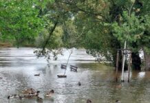 Fotogalerie: Lovosice, 16. 9. 2024