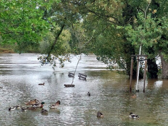 Obrázek WhatsApp, 2024-09-16 v 11.28.01_72a2a6ff