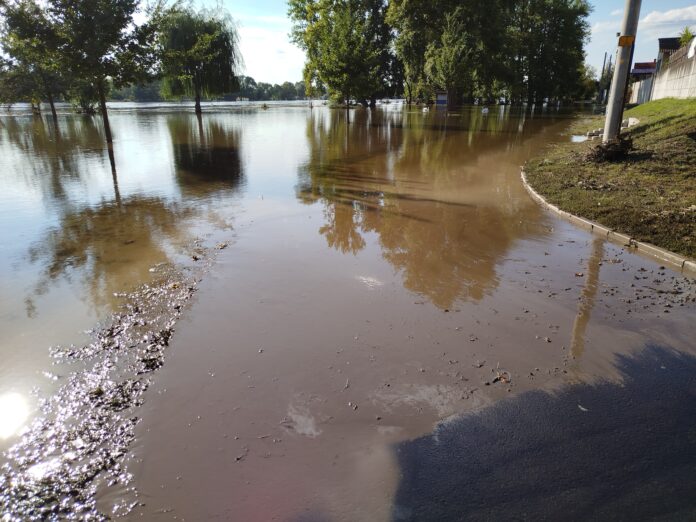 Obrázek WhatsApp, 2024-09-20 v 16.08.11_b6981472