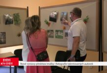 ŠTĚTÍ: Nové výstavy představí malby i fotografie talentovaných autorek