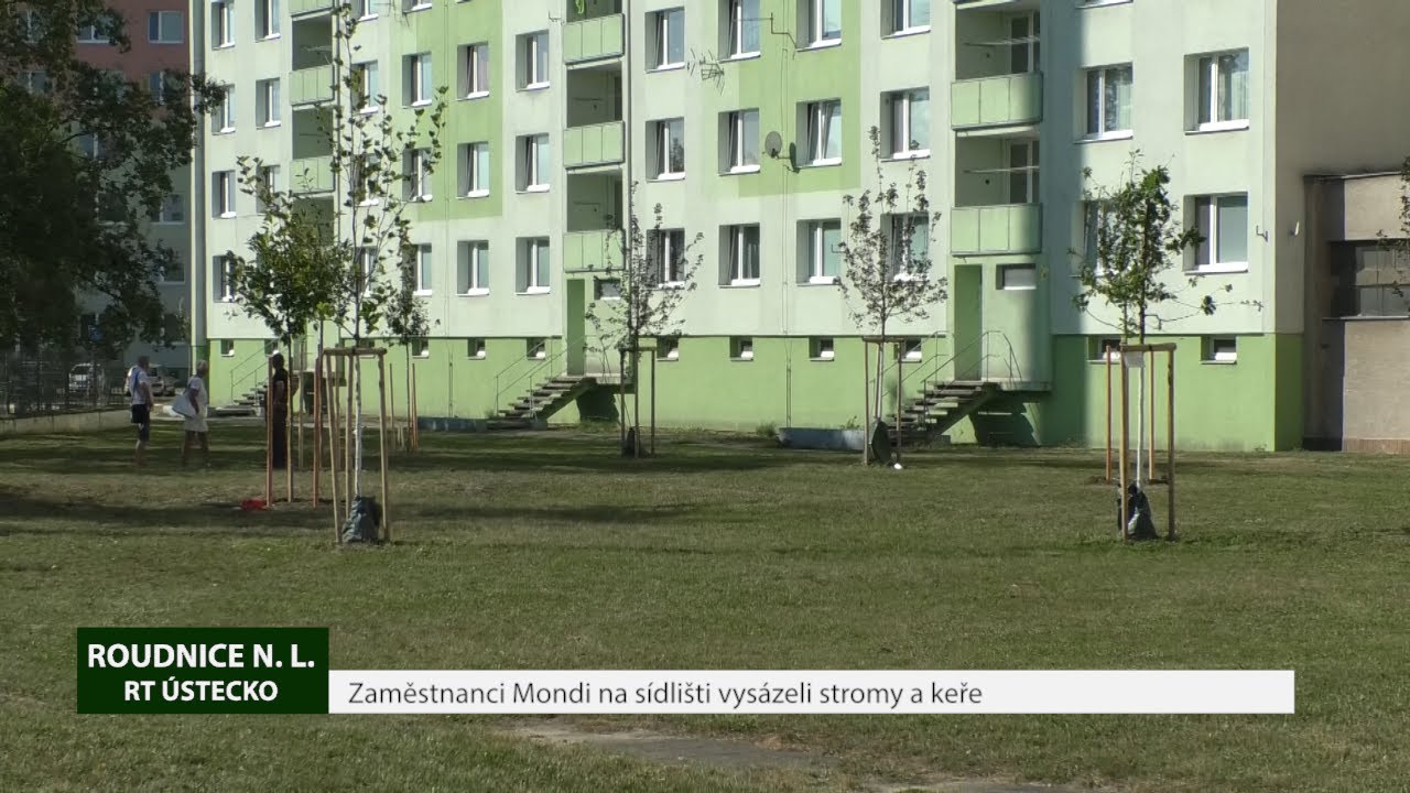 ROUDNICE N. L.: Zaměstnanci Mondi na sídlišti vysázeli stromy a keře