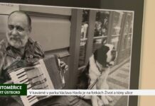 LITOMĚŘICE: V parku Václava Havla vystavují fotografové Hermann a Zimmer