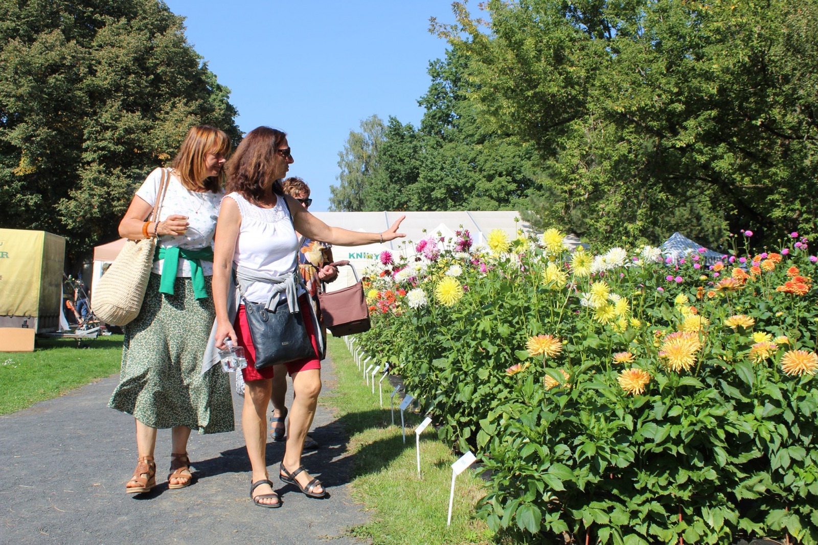 Mimořádná opatření mají o Zahradě Čech pomoci dopravě