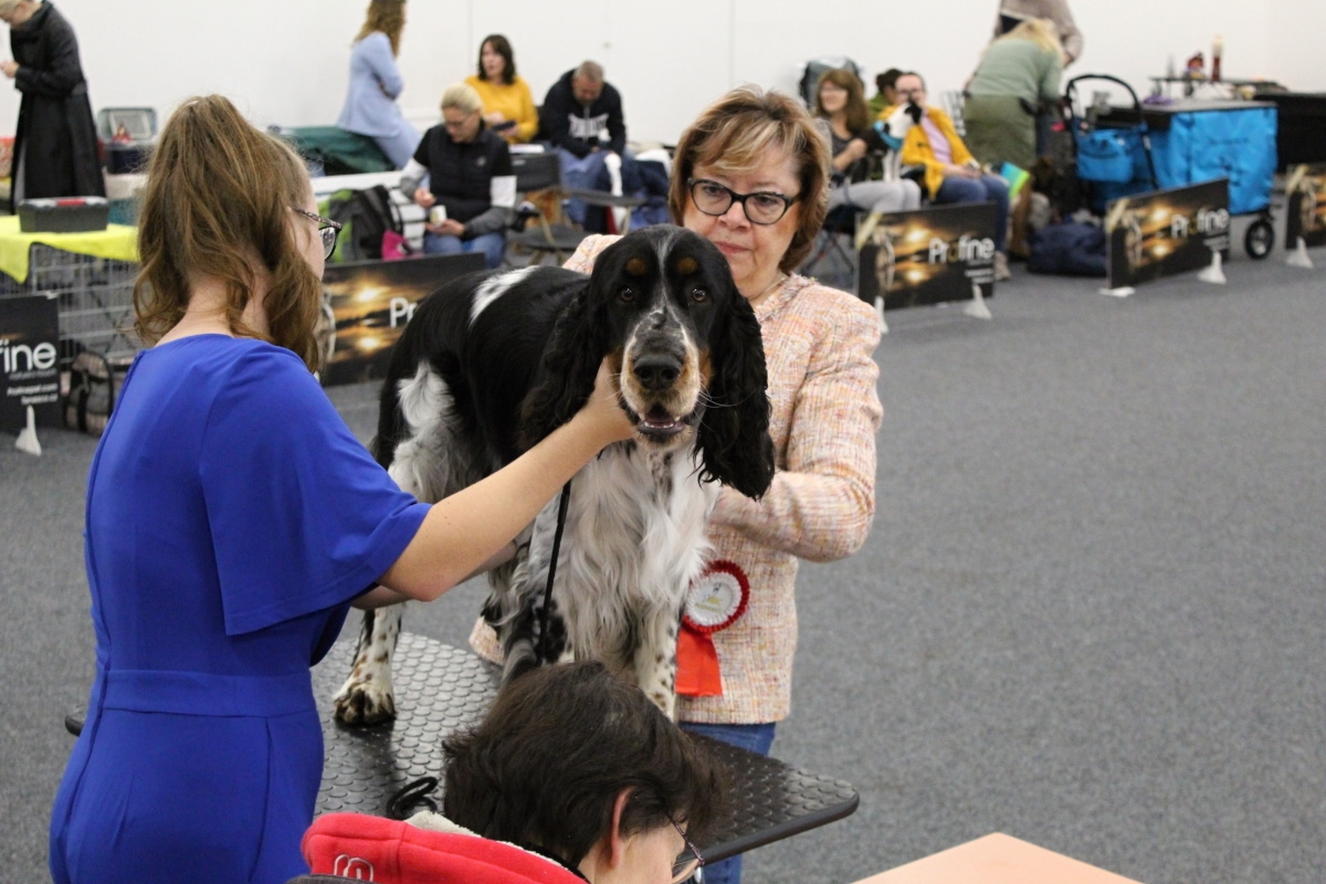 Zahrada Čech v sobotu opět hostí Krajskou výstavu psů