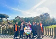 Mondi Štětí pomáhá v ústecké ZOO: Den pro neziskovku přinesl nový plot do žirafího výběhu