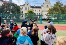 LITOMĚŘICE: ZŠ Boženy Němcové uspořádala celoškolní Den divočiny