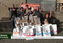 ŘEPNICE: Festival Útulek fest podpořil zvířecí útulky částkou 70 tisíc korun