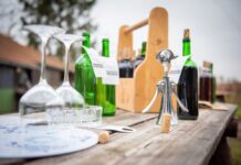 Otevřené vinné sklepy na Podřipsku ani letos nezklamou