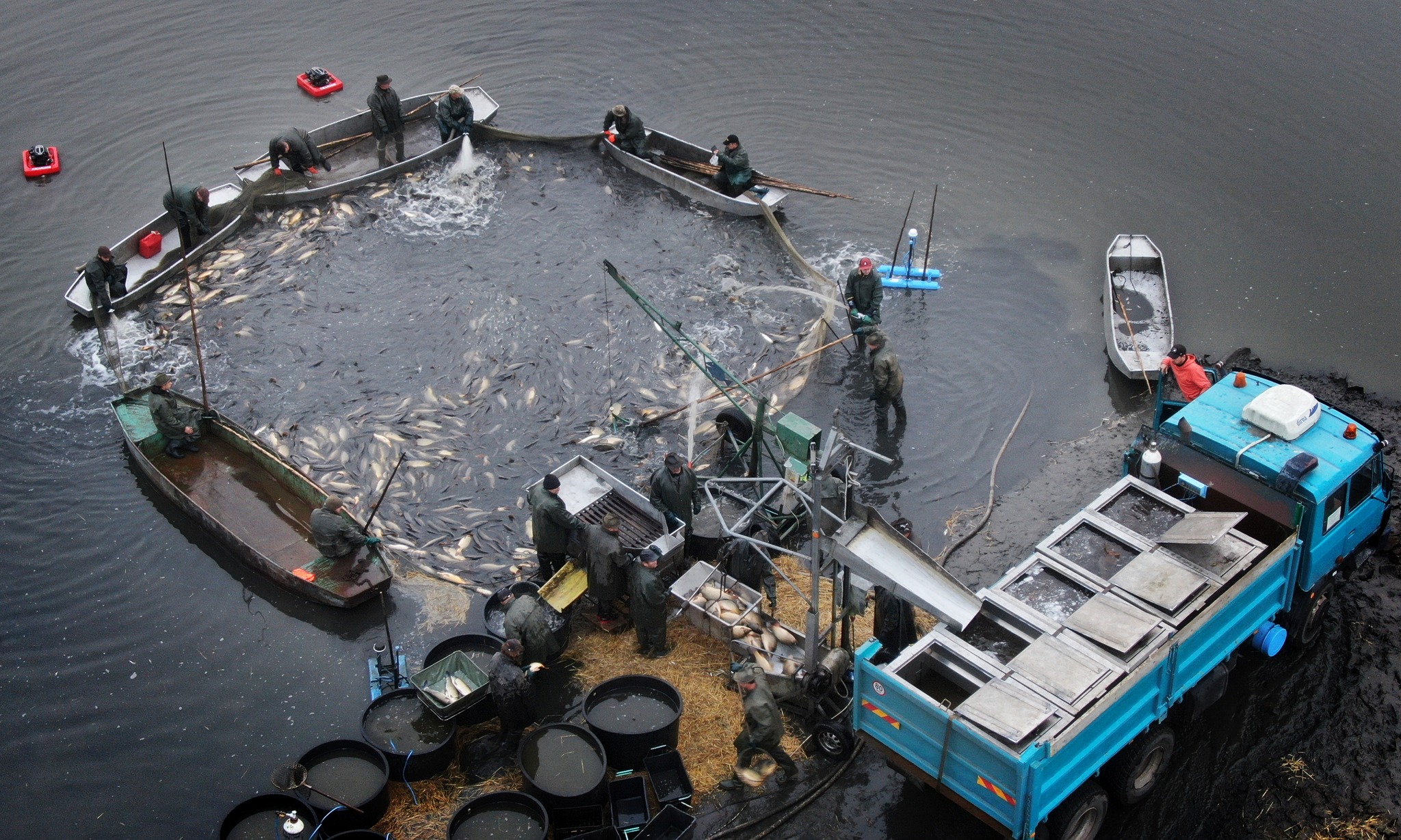 Jezero Chmelař má před výlovem
