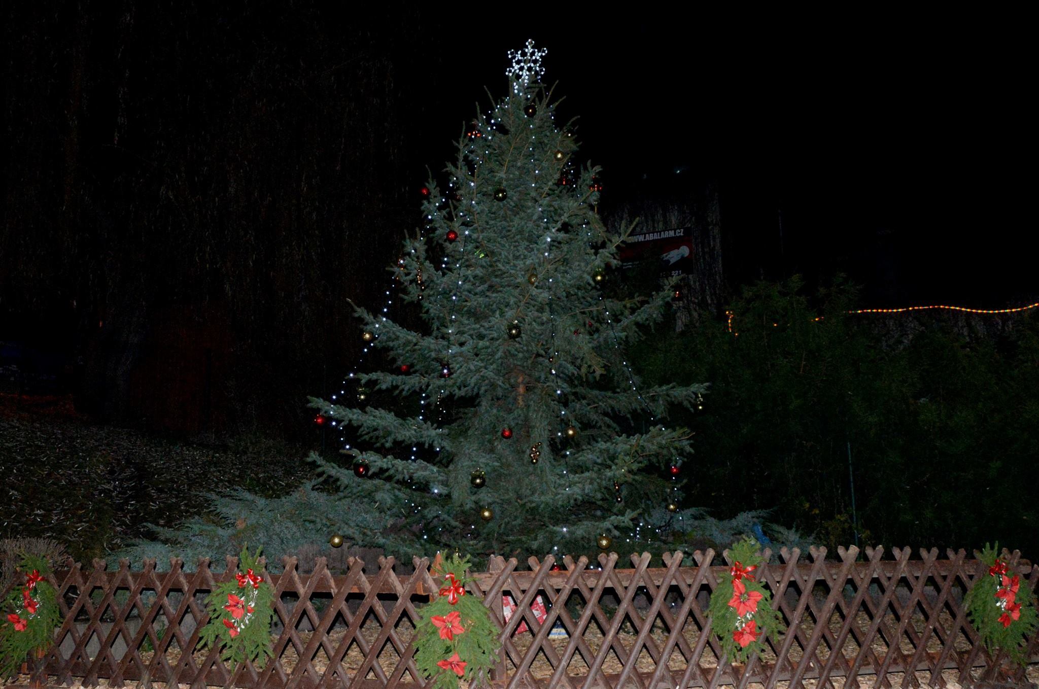 Ústecká zoo rozsvítí vánoční stromeček tuto sobotu, s polovičním vstupným!