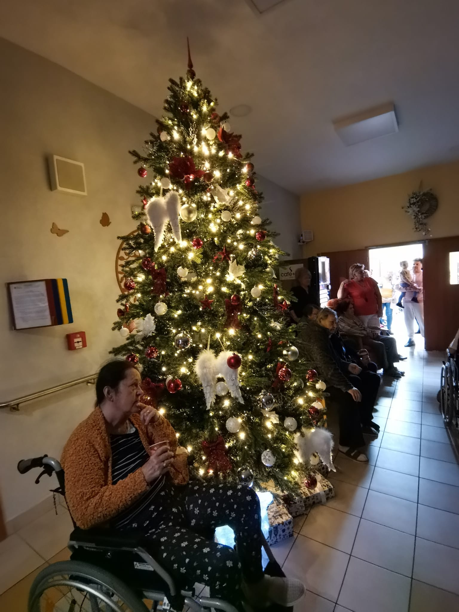 V Domově na Dómském pahorku vánoční strom už svítí