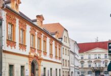 Severočeská galerie výtvarného umění 17. listopadu nabízí VSTUP ZDARMA