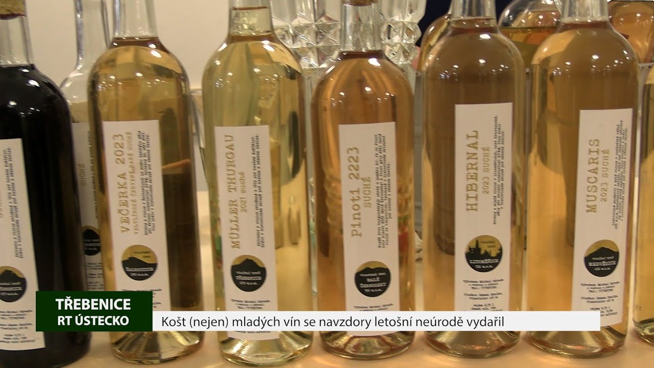 TŘEBENICE: Košt (nejen) mladých vín se navzdory letošní neúrodě vydařil