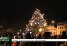 LOVOSICE: Vánoční strom se rozsvítí první adventní neděli