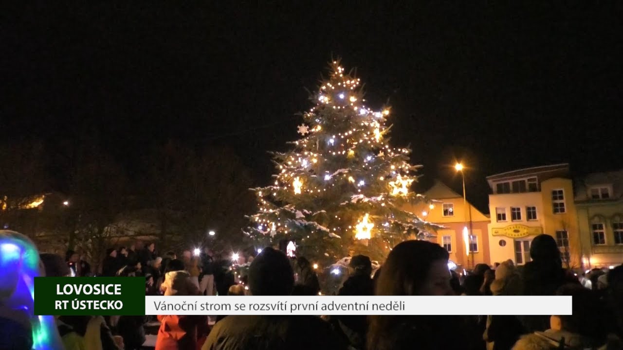 LOVOSICE: Vánoční strom se rozsvítí první adventní neděli