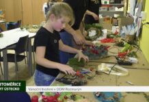 LITOMĚŘICE: Vánoční tvoření v DDM Rozmarýn