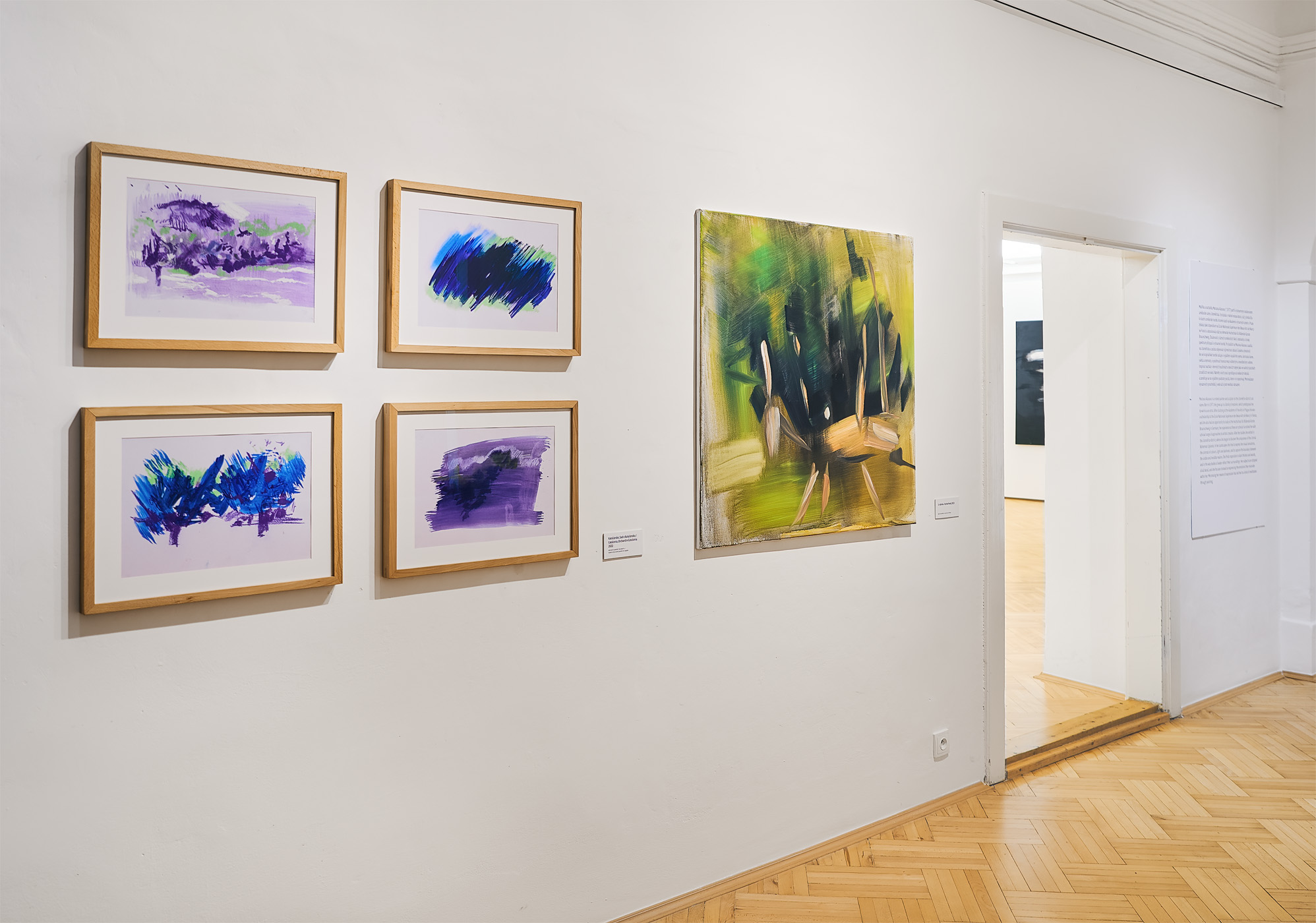 Severočeská galerie zve na poslední komentovanou prohlídku výstavy Mariany Alasseur