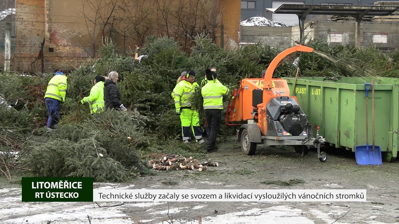 LITOMĚŘICE: Technické služby začaly se svozem a likvidací vysloužilých vánočních stromků