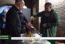 LOVOSICE: Zimní košt vín z Čech přilákal mnoho lidí