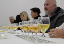 Pivovary z celého světa se v Litoměřicích utkají o nejprestižnější pivovarské ocenění
