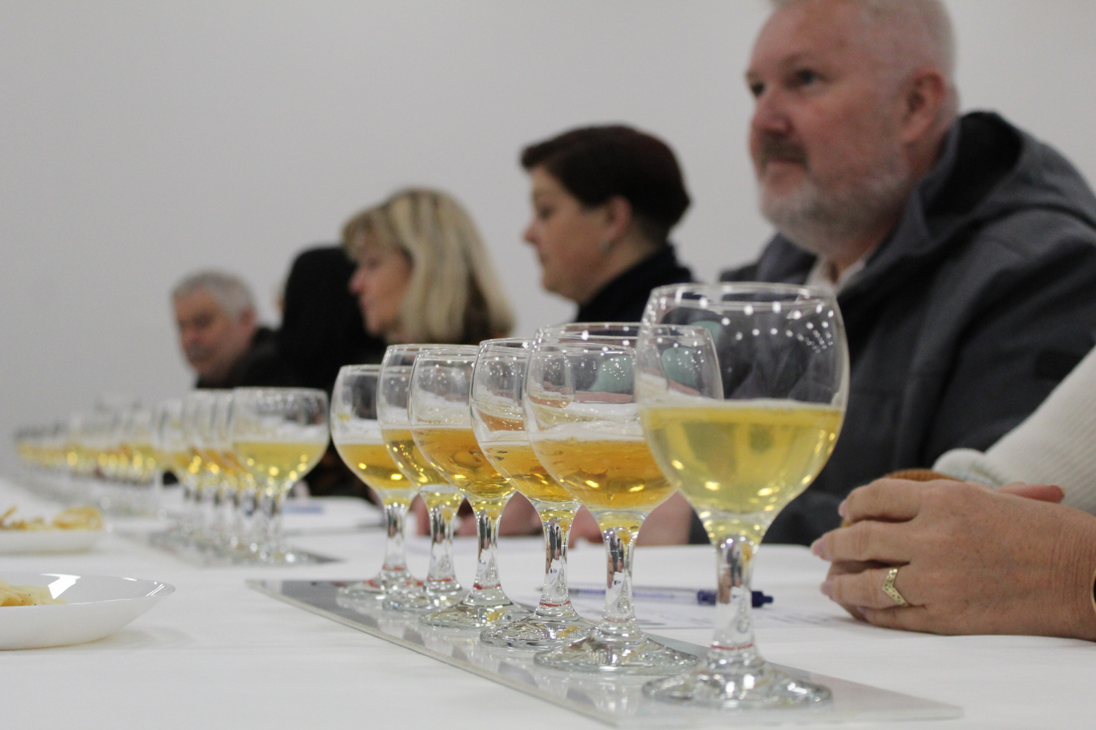 Pivovary z celého světa se v Litoměřicích utkají o nejprestižnější pivovarské ocenění