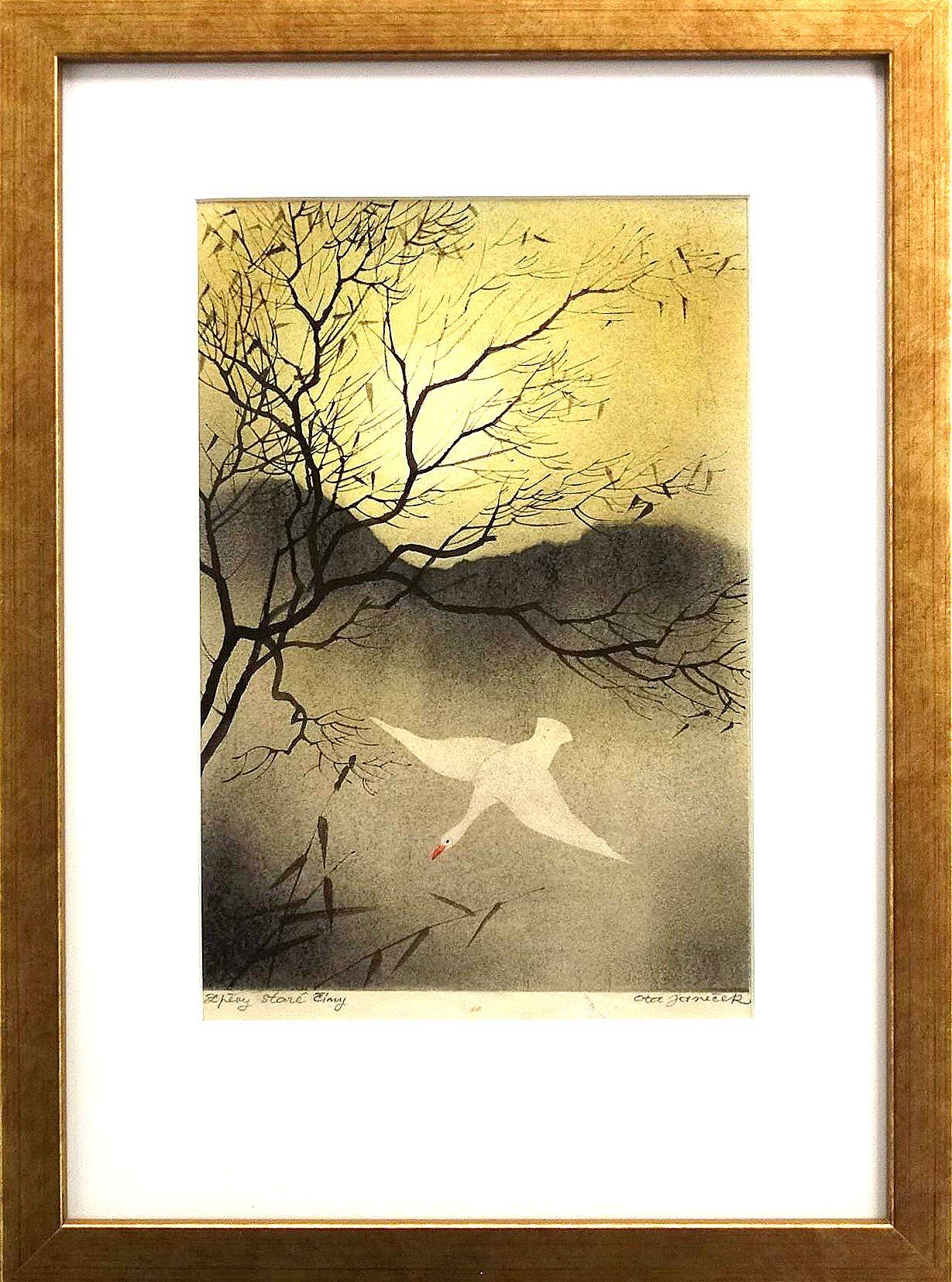 První letošní vernisáž v úštěcké Galerii připomene Otu Janečka