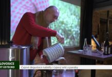 LOVOSICE: Čajové degustace nabídly i čajový sekt a panáky