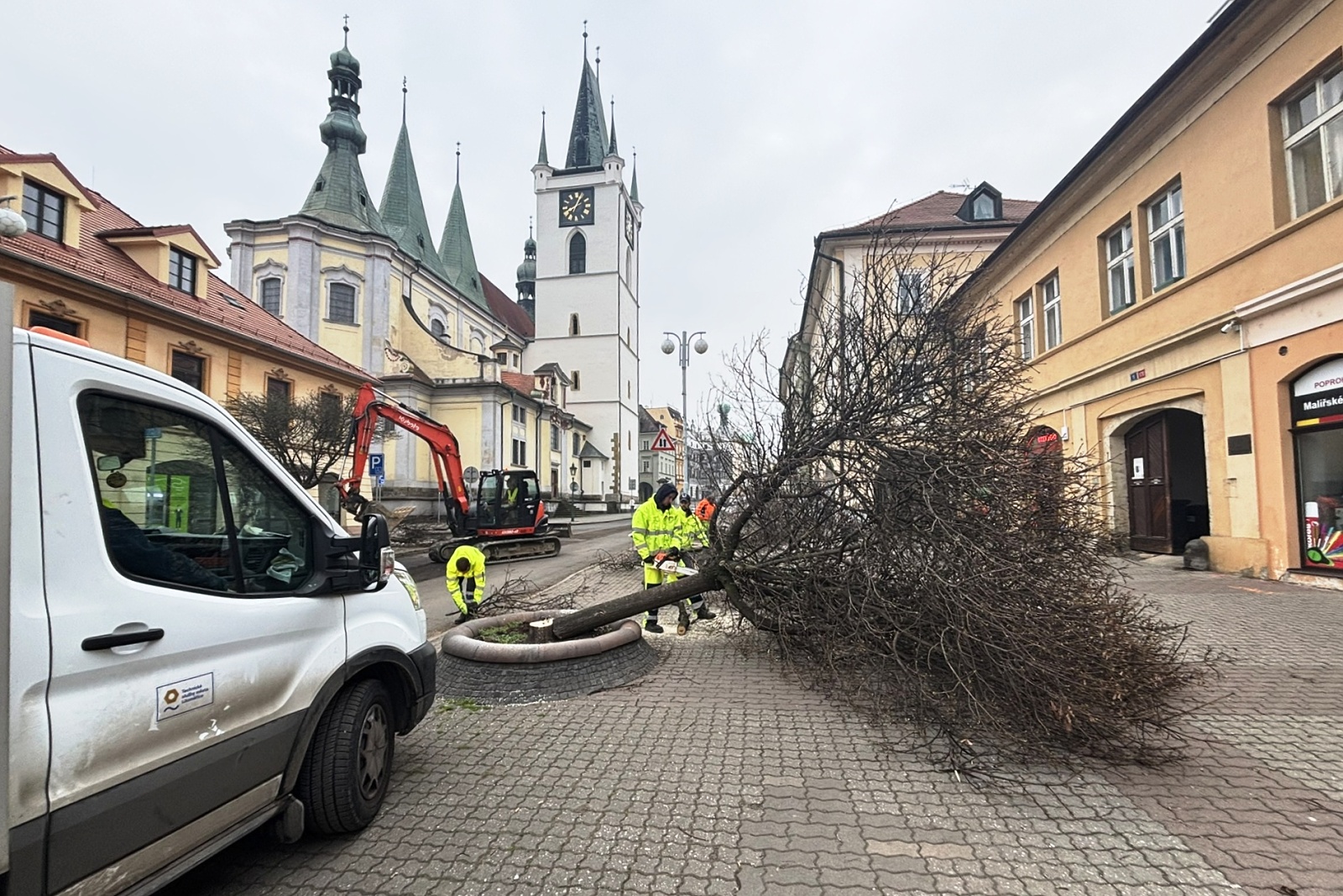 Javory v Dlouhé ulici nahradí po rekonstrukci sítí nová výsadba