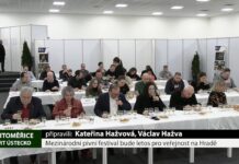 LITOMĚŘICE: Mezinárodní pivní festival bude letos pro veřejnost na Hradě