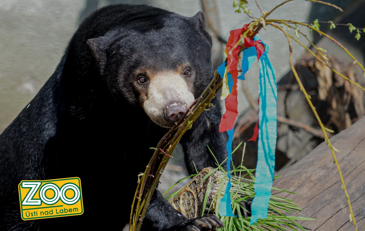 Užijte si Velikonoce v ústecké zoo! Užijte si Velikonoce v ústecké zoo!