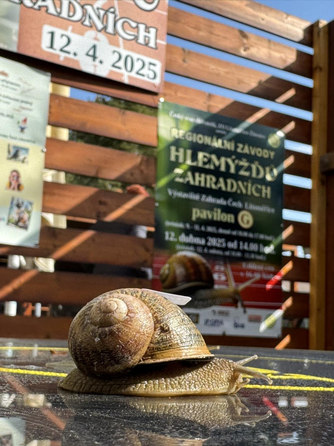 Tržnici Zahrady Čech zpestří v sobotu závody šneků