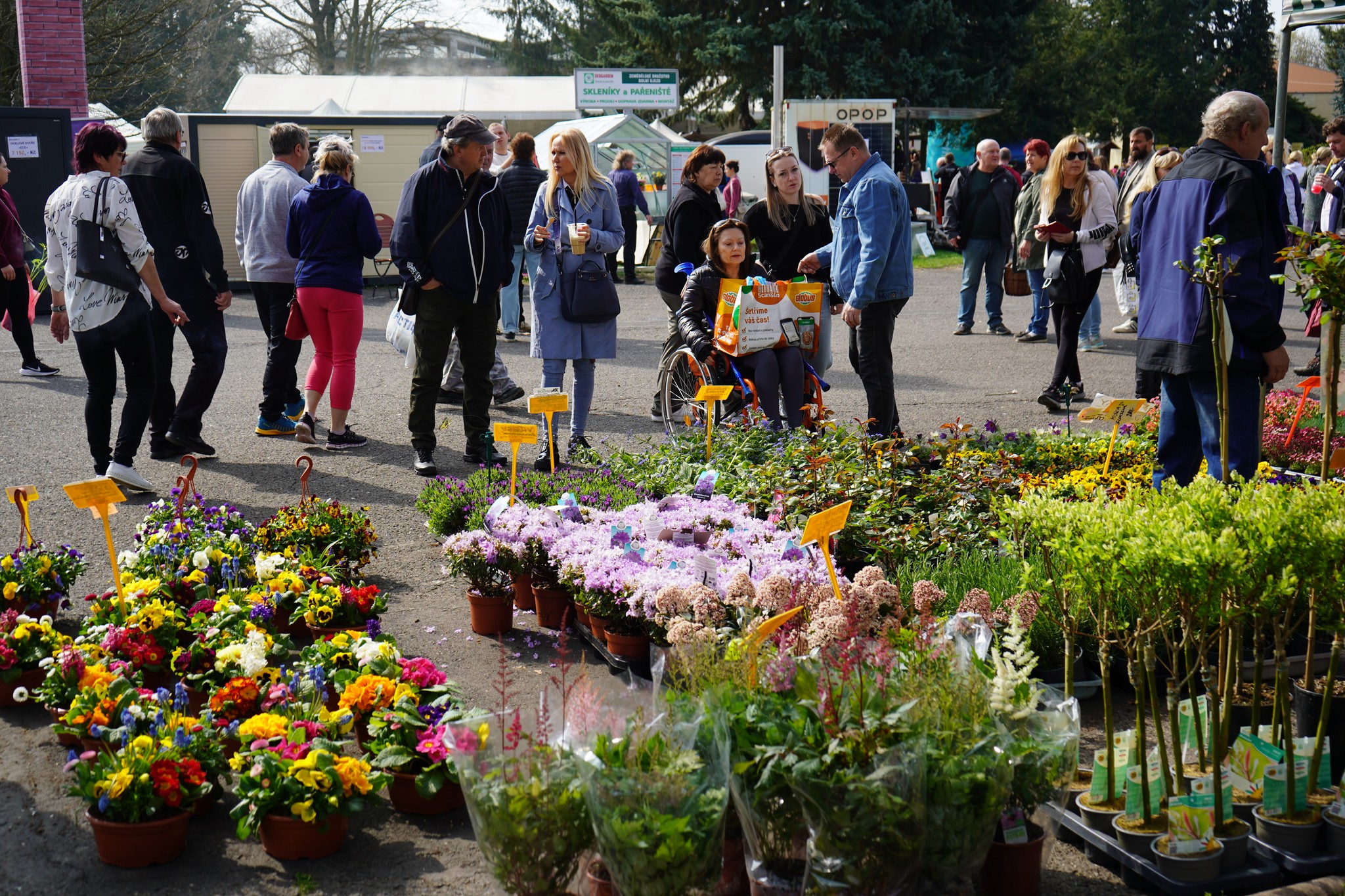 Tržnice Zahrady Čech vrcholí, před sebou má poslední den