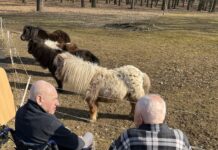 Jaro přišlo i do SeniorCentra SeneCura v Terezíně