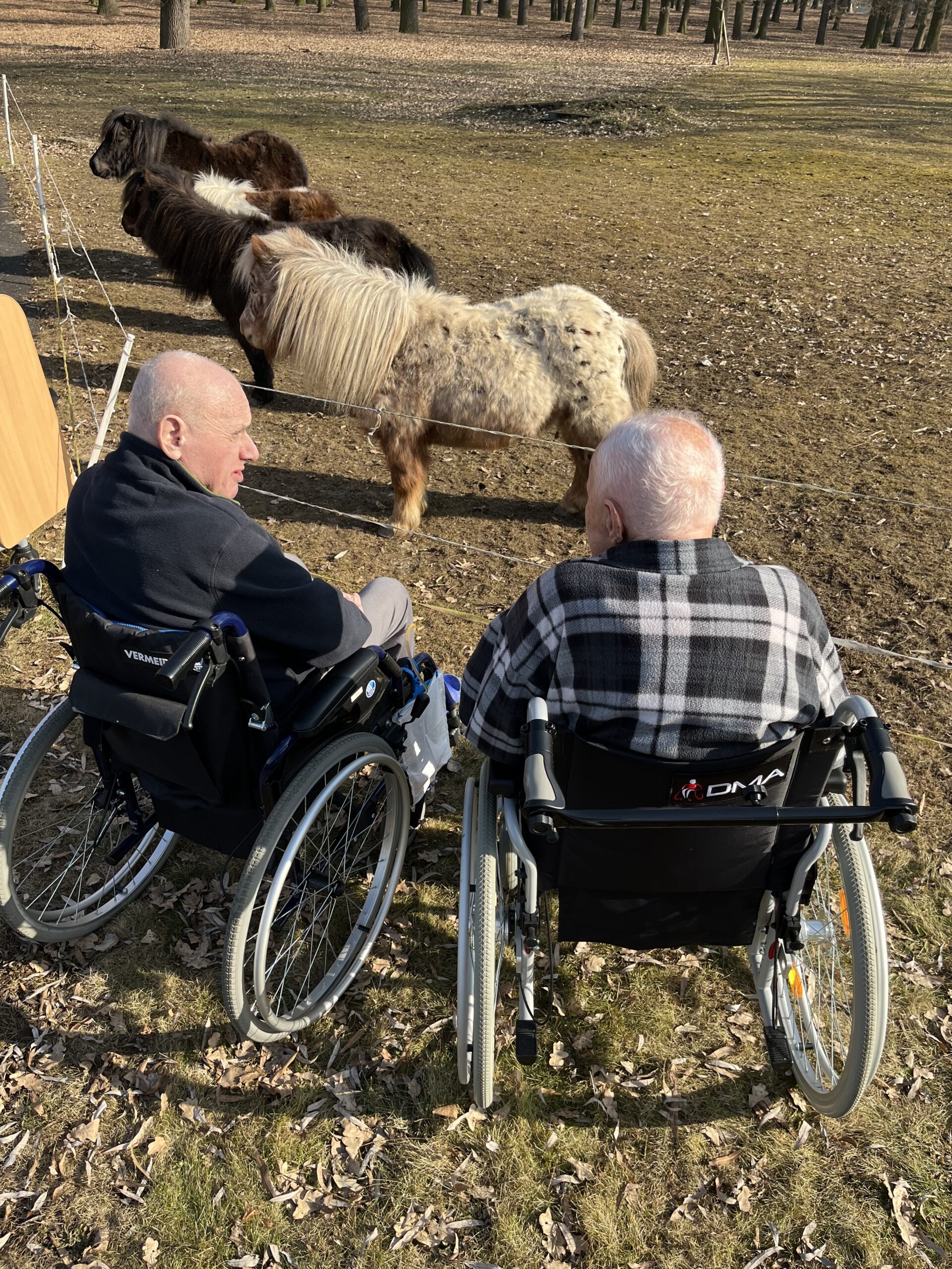 Jaro přišlo i do SeniorCentra SeneCura v Terezíně Jaro přišlo i do SeniorCentra SeneCura v Terezíně