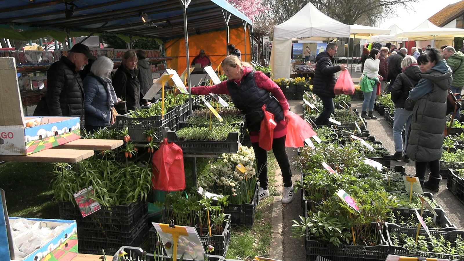 FOTOGALERIE: Začala Tržnice Zahrady Čech