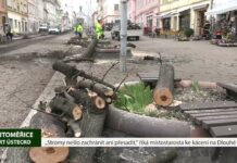 LITOMĚŘICE: „Stromy nešlo zachránit ani přesadit,“ říká místostarosta ke kácení na Dlouhé