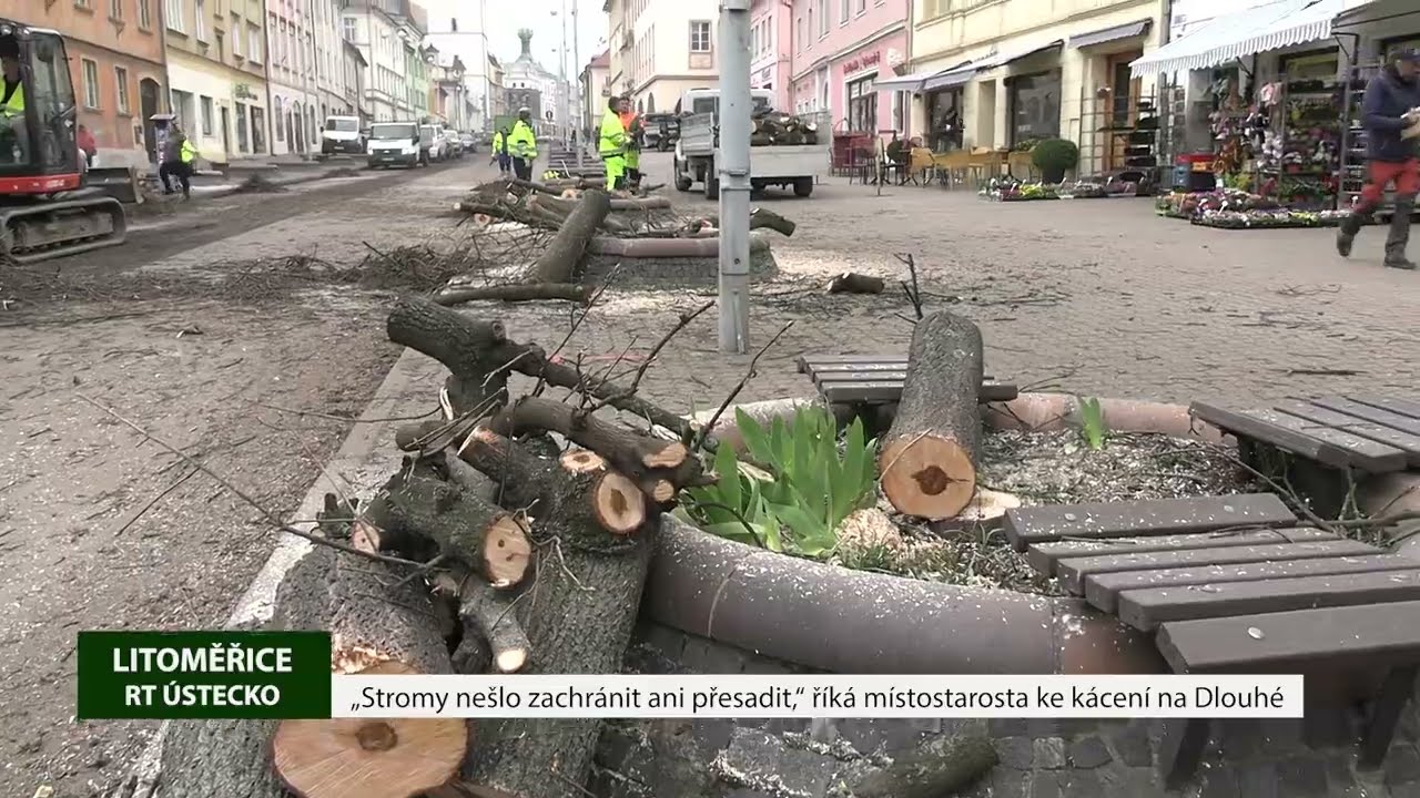LITOMĚŘICE: „Stromy nešlo zachránit ani přesadit,“ říká místostarosta ke kácení na Dlouhé