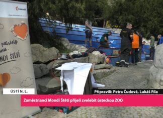 ÚSTÍ N. L.: Zaměstnanci Mondi Štětí přijeli zvelebit ústeckou ZOO