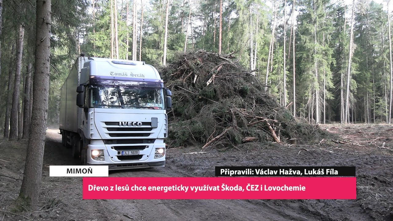 MIMOŇ: Dřevo z lesů chce energeticky využívat Škoda, ČEZ i Lovochemie