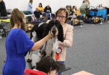 Na Zahradě Čech se o víkendu koná Mezinárodní výstava psů